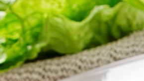 Toxinas te pueden enfermar rápidamente, de 1 a 7 horas.