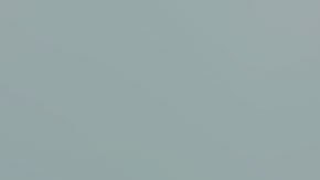 Nathan Roe, de 18 años, ahora está en la cárcel de Miami.