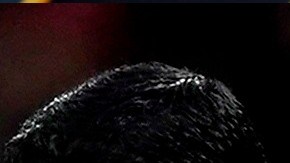 Algunos atletas ya fueron diagnosticados con la COVID-19.