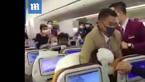 Una trifulca se formó en pleno de Thai Airways en China.