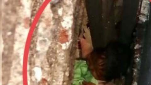 La bebé fue abandonada en la alcaldía Iztacalco.
