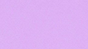 bebida-botella-Canva