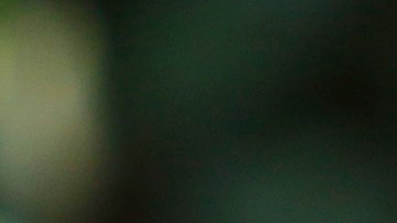 Guillermo Álvarez Cuevas, presidente de Cruz Azul.