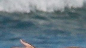 Photo © 2020 Backgrid/The Grosby Group
Spain: Lagencia Grosby

*PREMIUM-EXCLUSIVE*

NO BRAZIL

12 MARCH 2020 

Costa Rica, COSTA RICA  Gisele Bundchen retired from runway modeling in 2015 but the Brazilian bombshell proved she still is very much a supermodel during a photo shoot on the beach in Costa Rica. Gisele looks great as she shows off her toned figure while frolicking on the beach in a chocolate covered bikini top with matching leopard print bottom. *Shot on March 8, 2020*

Pictured: Gisele Bundchen