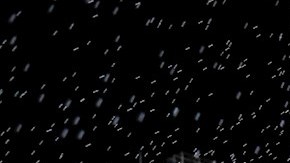 López tuvo dos pasantías en Boca Juniors.