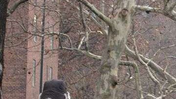 Una escena típica queda de momento cancelada