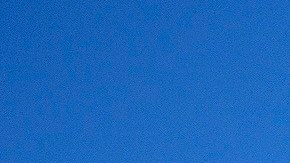 Johnson había recibido presiones para declarar el "lockdown".