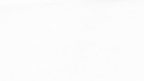 En total, se han confirmado 704 muertos por COVID-19 en todo EEUU.