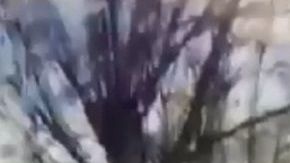 El video se volvió viral.