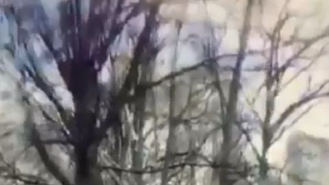 El video se volvió viral.