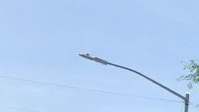 "Amour Cabaret", 566 Nostrand Avenue