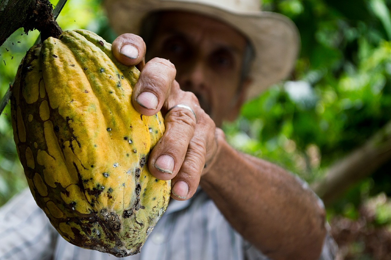 ¿Sabías que aguacate significa “testículo”? Te sorprenderá