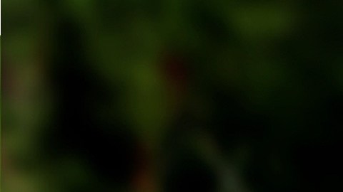 Un cachorro roba comida a un perro.