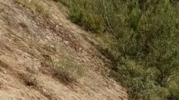 VIDEO: Momento exacto en que helicóptero de soldados mexicanos se desploma