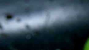 Carne-filete-Shutterbug75-Pixabay