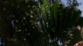 Una casa con piscina puede ser una utopía atractiva por todos los cuidados que conlleva.