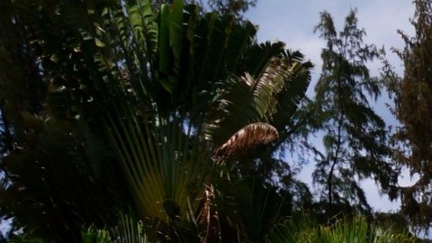Una casa con piscina puede ser una utopía atractiva por todos los cuidados que conlleva.