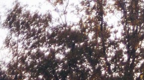 Una luz se vislumbra para comprar una casa cuando estás pagando otra.