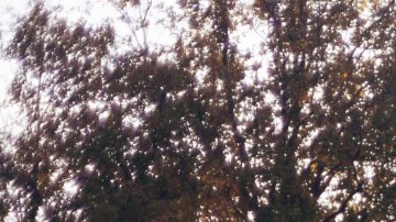 Una luz se vislumbra para comprar una casa cuando estás pagando otra.