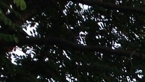 Quizás quieras vender rápido, pero toma estas precauciones.