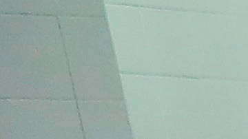 Trabajadores de un banco de alimentos en España realizando sus labores.