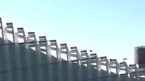 Centro para el Control de Enfermedades (CDC)