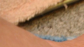 Hay que tener cuidado con los productos de limpieza.