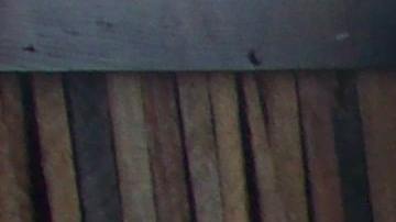 Libera tu colchón de toda las sábanas para comenzar la faena.