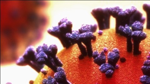 coronavirus ICE