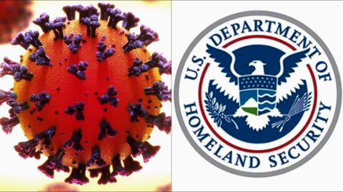 coronavirus ICE