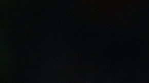 Robert Dante Siboldi ha sabido acomodar sus piezas para mantener la intensidad en su juego.