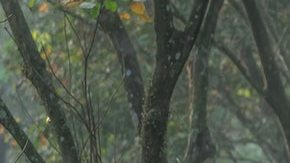 Destinos que puedes visitar con los pequeños de la familia. *Foto: Robert Collins vÍa Unsplash.