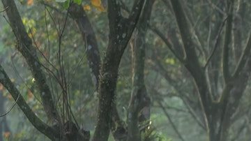 Destinos que puedes visitar con los pequeños de la familia. *Foto: Robert Collins vÍa Unsplash.