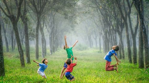 Destinos que puedes visitar con los pequeños de la familia. *Foto: Robert Collins vÍa Unsplash.