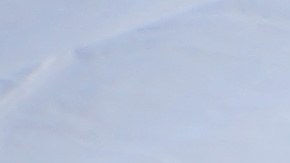 El martes en la tarde ya se habían reportado los primeros dos casos en BC. (Manuel Ocaño)