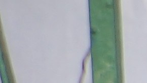 Refugiados en el albergue Roca de Salvación.