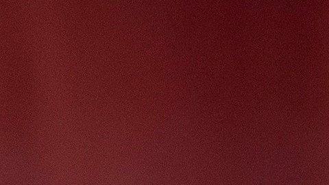 El líder de la minoría en la Cámara alta consideró insuficientes los $1,000 que propone Trump.