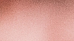 Los propietarios constantemente cometen errores al cuidar de su primera mascota.