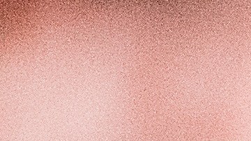 Los propietarios constantemente cometen errores al cuidar de su primera mascota.