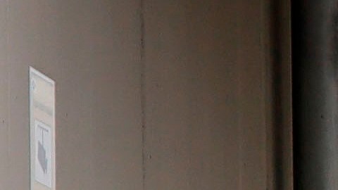 La policía detuvo a la mujer y la llevó de vuelta al hospital.