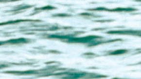 Que Culpa Tiene Fatmagül, llega a UniMas