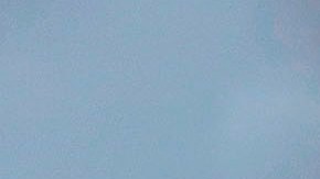 La curva plana permitiría no colapsar el sistema sanitario.