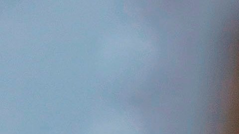 La curva plana permitiría no colapsar el sistema sanitario.