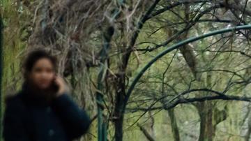 Personas caminan en un parque al aire libre.