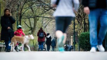 Personas caminan en un parque al aire libre.