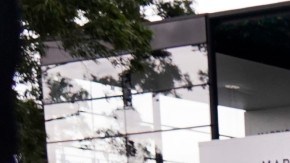 Han tomado la decisión de que se cancele toda la actividad de la Fórmula 1.