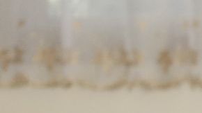 Martes 3 de marzo, día de votar en California.