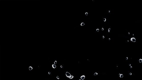 Foto: Petra D./Pixabay