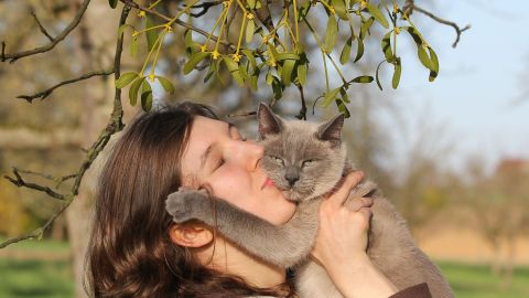Los gatos dan pistas de que gozan estar con sus amos.
