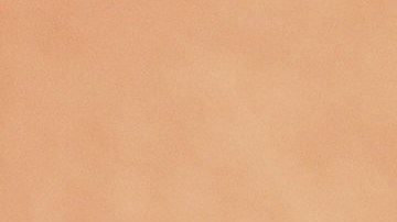 A los gatos no se les enseñó a ser sociables.